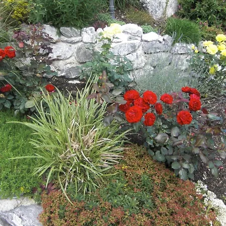 Am Rosengarten