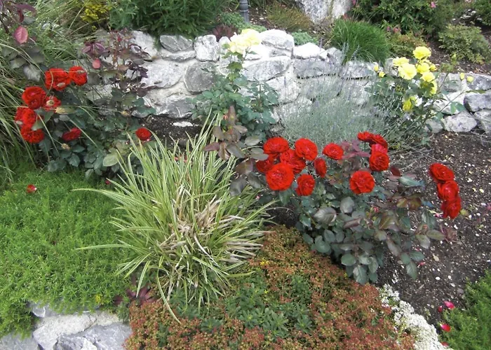 Am Rosengarten