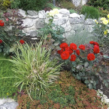 Am Rosengarten Apartman