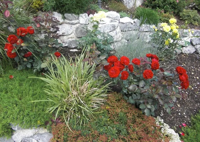 Am Rosengarten Апартаменты